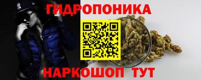 наркотики Будённовск
