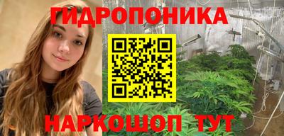 наркотики Будённовск
